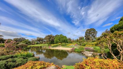 Japanese Garden - Cowra 